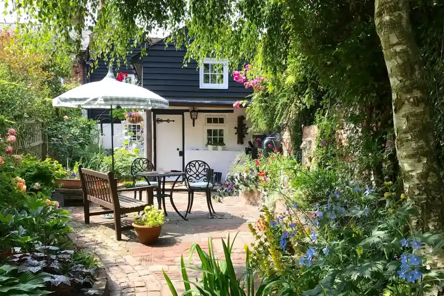 Professional Tree Service Services